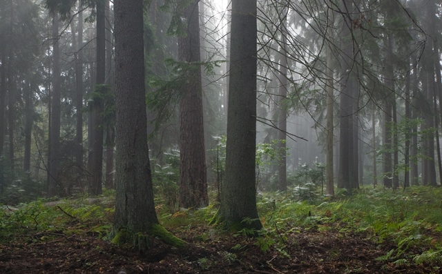 Being There for Family